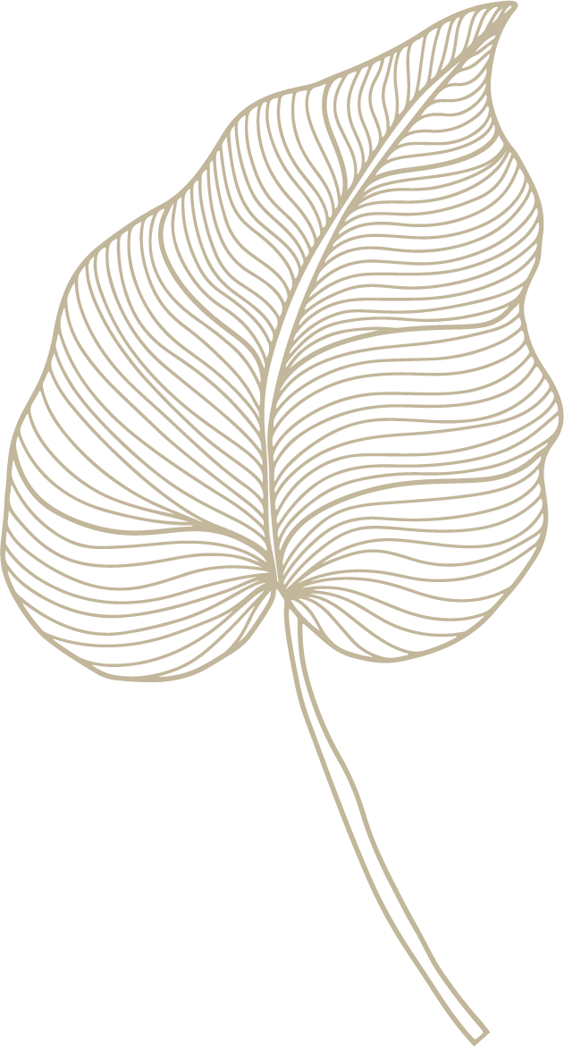 Single-beigeleaf-upright