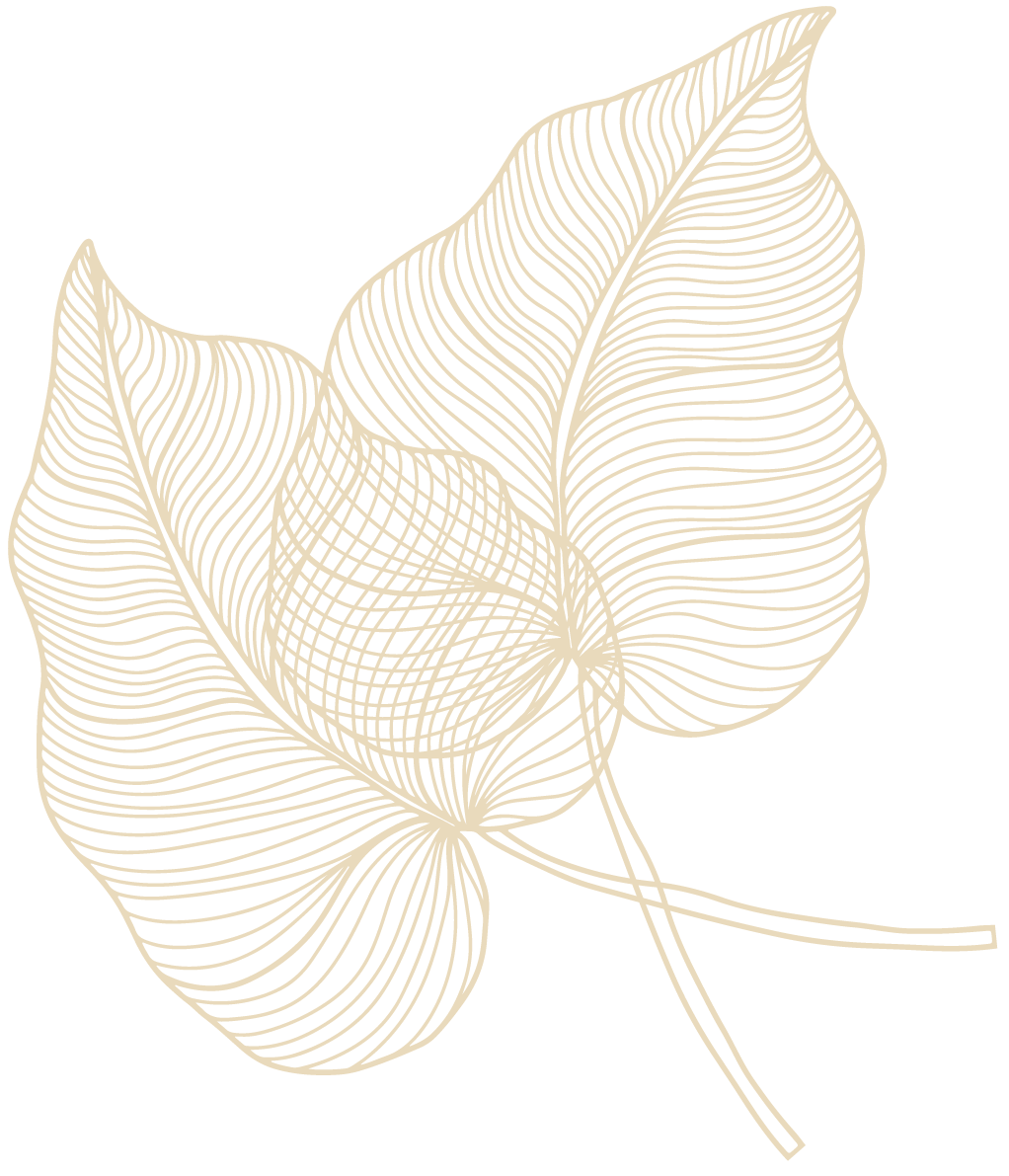 Two-leaves