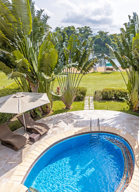 Picathartes-Pool